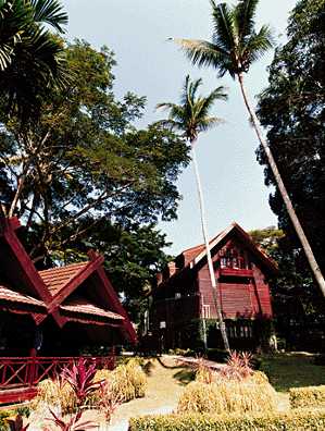 Canopy Walkway